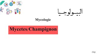 درس ميكولوجي  L3  Microbiologie Mycologie MycetesChampignon [upl. by Itteb]