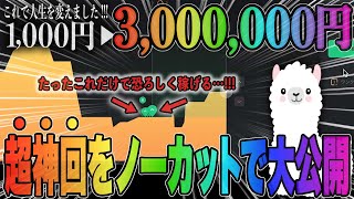 【※超神回】1000円が300万円に増えました！誰でも真似できるハイローの稼ぎ方を丸ごとお見せします [upl. by Clothilde489]