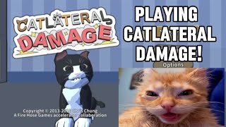 RAGING in Catlateral Damage [upl. by Eisserc]