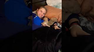 Xl bully puppy pile xlbullypuppy dogbreed shortsvideo [upl. by Itsyrk712]