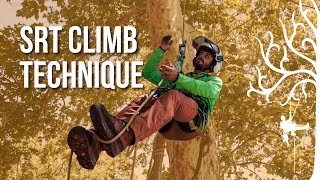 How to climb SRT  SRS  beginner tree climbing  stationary rope system  Arborist tipstricks [upl. by Adeirf257]