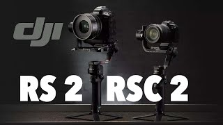 DJI RS 2 y RSC 2 los nuevos y BRUTALES estabilizadores [upl. by Acisey]