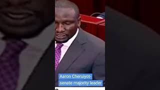 Aaron Cheruiyot senator majority leader [upl. by Preiser664]