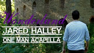 Taylor Swift  Wonderland  Jared Halley  One Man Acapella [upl. by Ramah]