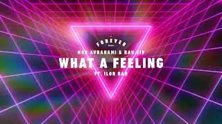 Mor Avrahami amp Ran Ziv ft Ilor Bar  What A Feeling Intro Mix [upl. by Ulland]