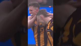 Hawthorn vs North Melbourne  Scores  Highlights  AFL [upl. by Sebastiano]