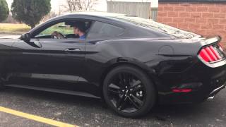 Ecoboost Mustang with Resonator and Muffler Delete [upl. by Veats]