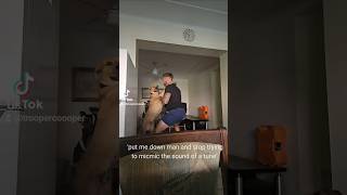 anyone else dance with their dogs foryou dogs dancing funny joking australia [upl. by Ahsikel624]