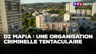 DZ mafia  une organisation criminelle tentaculaire [upl. by Xena230]