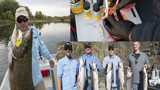 Feather River amp Columbia River Salmon Fishing [upl. by Aivul]