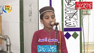 Muhammad Ahemd tilawat At Damala Narowal 13 October 2024 محفل ڈومالہ [upl. by Annoed]