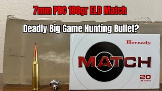 7mm PRC Gel Test Is The 180gr Match A Legitimate Big Game Hunting Bullet [upl. by Yrellav]