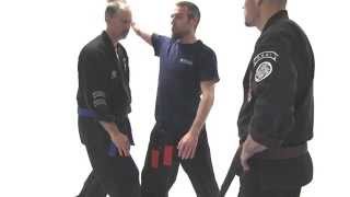 Kenpo Karate Techniques AKKI Kenpo Karate Randall McKay [upl. by Brozak]