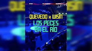 Los Peces En El Río  Quevedo Ft Wisin Jony Music Rmx [upl. by Durrej20]