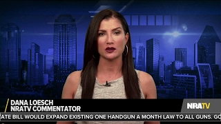 Stinchfield  Dana Loesch quotThis Journalist Malpractice Needs to Stopquot  51817 [upl. by Einnor]