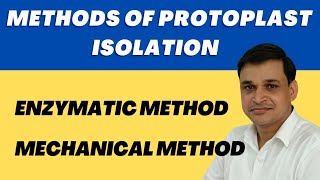 Methods for isolation of protoplast Mechanical and Enzymatic  Plant Biotechnology [upl. by Aivonas]