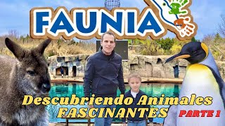 Aventuras en FAUNIA Descubriendo Animales Fascinantes [upl. by Malvin]