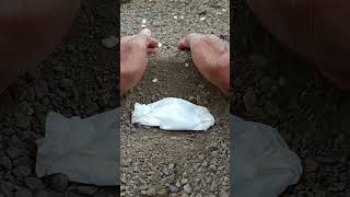 A funeral procession frog🐸🥀frog wildlife shorts viralvideo [upl. by Nawj293]