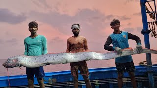 9 அடி நீளமுள்ள வித்தியாசமான மீன் ஆழ்கடலில் பிடித்தோம்Rare Fish in OCEANDRAGON fishEpisode09 [upl. by Armahs439]