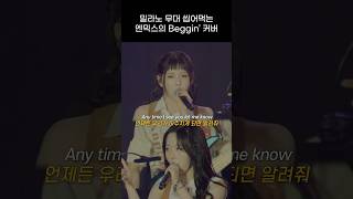 엔믹스 밀라노 무대 씹어 먹는 Beggin 커버 무대 [upl. by Ardied]