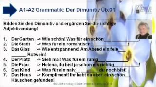 A1A2 Grammatik Dimunitiv u Deklination Üb01 [upl. by Lednew]