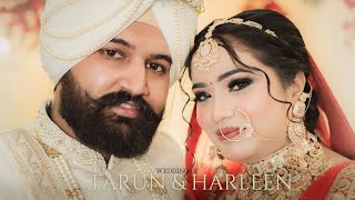 Best Wedding Cine Highlight  Tarun amp Harleen  Harbhajan Singh Production  2024 [upl. by Knowling]