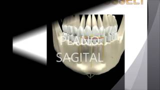 Biomecánica Mandibular Prostodoncia [upl. by Joellen117]