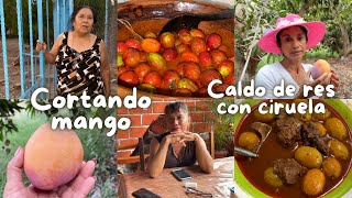 ES TEMPORADA DE MANGO  CÓMO HACER CALDO DE RES CON CIRUELA [upl. by Colly579]