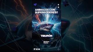 🦈⚡¡Tiburones con superpoderes⚡🦈tiburones oceano campos eléctricos navegación gps reels [upl. by Vick]