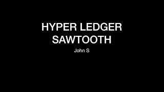 Hyperledger Sawtooth Tutorial [upl. by Draillih698]