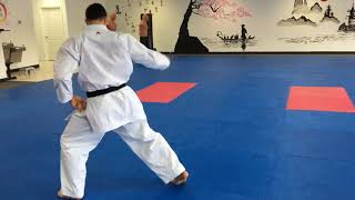 Wado Ryu Pinan Nidan Kazoku Karate Dojo [upl. by Neirad212]