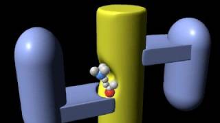 Acetylcholine receptor Rate My Science [upl. by Dutch]