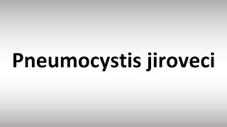 How to Pronounce Pneumocystis jiroveci [upl. by Beatriz]