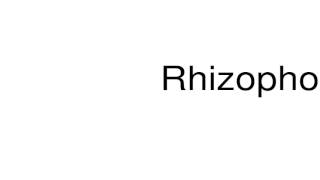 How to pronounce Rhizophora [upl. by Decima]