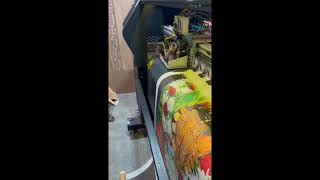 Door printing machine￼ [upl. by Aurelea]