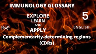 complementarity determining region  CDR immunology glossary [upl. by Naillimxam]