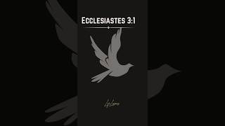 Ecclesiastes 31  LifeLessons [upl. by Comethuauc]