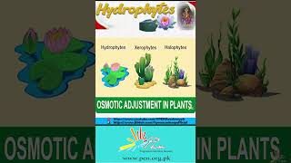 What are Hydrophytes I Osmotic Adjustment in Plants I Biology [upl. by Bamford253]