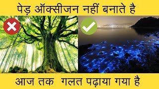 पेड़ हमे ऑक्सीजन नहीं देते  We get oxygen from oceanCyanobacteriaPhytoplanktonBlue green algae [upl. by Yoreel]