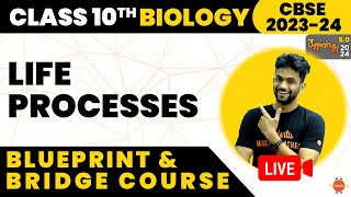 CBSE Class 10 Biology Life Processes Blueprint amp Complete Bridge Course Amrit Sir Vedantu910 [upl. by Engracia]