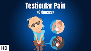 8 Causes Of Testicular Pain [upl. by Ahsauqram]