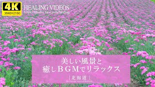 【癒し】広大な大地と大自然！北海道の絶景と優しいピアノBGMで心身の疲れを癒してください。／リラックス効果・勉強中や作業用、目覚めの朝や眠れない夜にもどうぞ。 [upl. by Nauh]