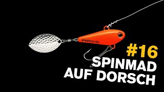 DORSCH angeln mit SpinMad 🎣 TEST auf der OSTSEE [upl. by Novehs71]