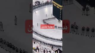 سورہ یسین کی تلاوت خوبصورت آواز میں news saudi visa quotes poetry pti uae pakistan quran [upl. by Lanaj205]