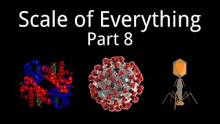 Scale of Everything Part 8 1250 nm [upl. by Pooi]