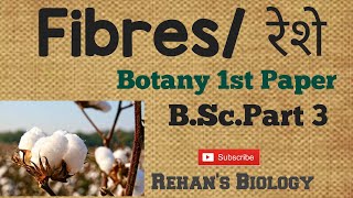 Fibre yielding Plants रेशा प्रदान करने वाले पौधे Fibre yielding plants Cotton Rehans Biology [upl. by Isabelita609]