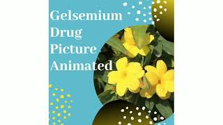 Gelsemium Drug picture animated [upl. by Enilauqcaj]