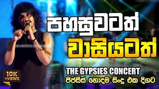 Pahasuwatath Wasiyatath පහසුවටත් වාසියටත්  Shenal Live at The Gypsies Concert  TRANS AV EVENTS [upl. by Asilad]