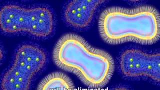 Animation of Antimicrobial Resistance [upl. by Juna]