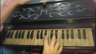 Gori Tera Gaon Bada Pyara  Chitchor  Harmonium Cover [upl. by Teirtza]